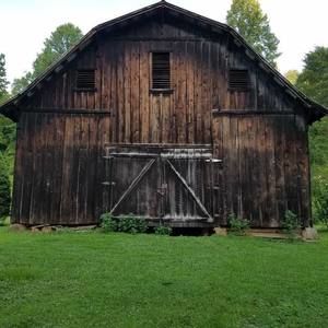 Meet your Posher, Janice